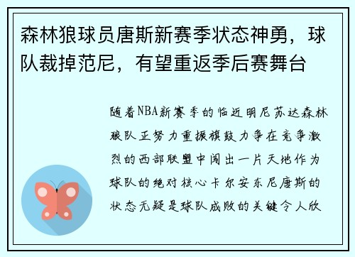 森林狼球员唐斯新赛季状态神勇，球队裁掉范尼，有望重返季后赛舞台